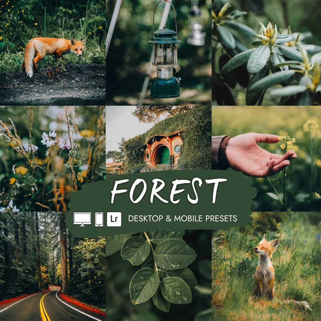 Preset 11